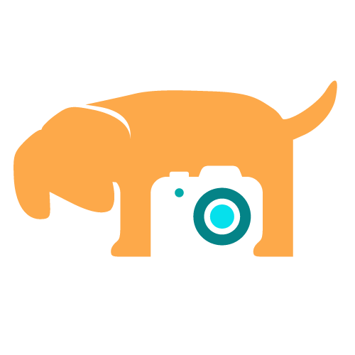 Logo of the website Portrait for Dogs